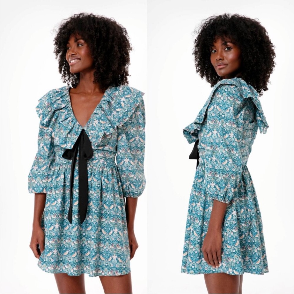 Hyacinth House
Victorian Ruffle Collar
Preppy Bow Birdsong Mini Dress